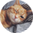 wink 推荐