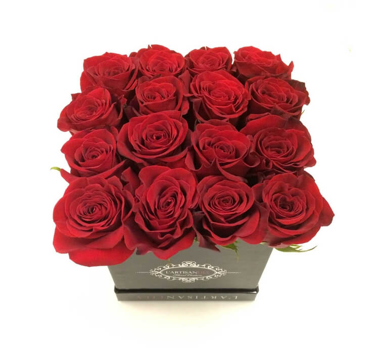 玫瑰好物🌹
满足你的玫瑰情节 芬芳弥漫一整个冬天 Bloomingdales