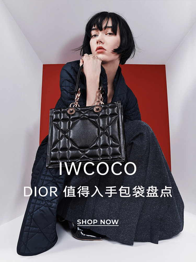  Dior最值得入手包袋盘点undefined大图